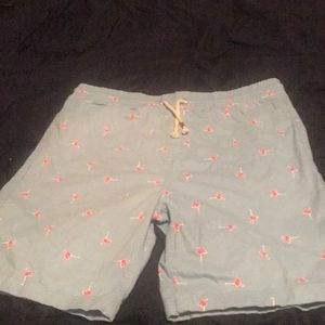 Flamingo shorts